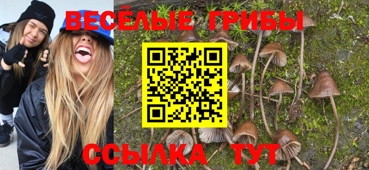 Галлюциногенные грибы Cubensis Севастополь